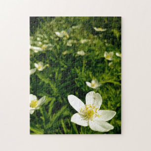 Creative wild flower walk photo jigsaw puzzle