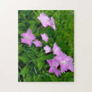 Creative wild flower walk photo jigsaw puzzle