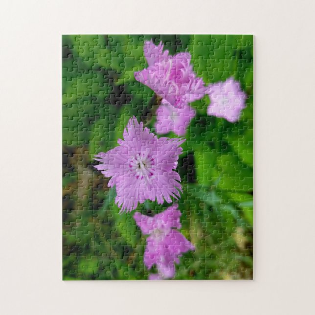 Creative wild flower walk photo jigsaw puzzle (Vertical)