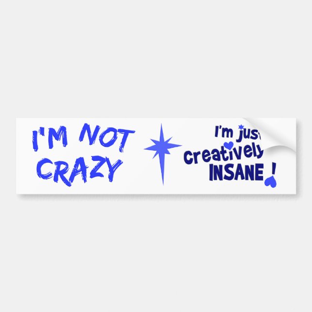 Creatively Insane bumpersticker Bumper Sticker (Front)