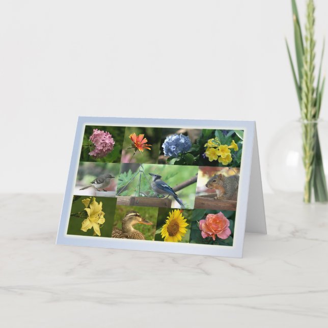 Creatures and Creation Collage Card (Front)