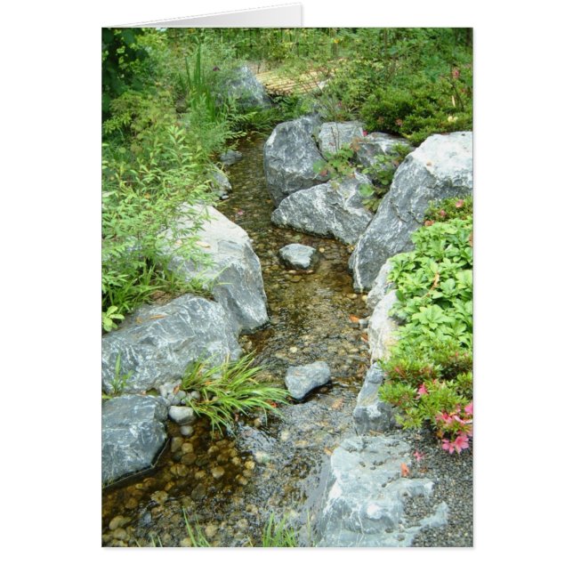 Creek (Front)