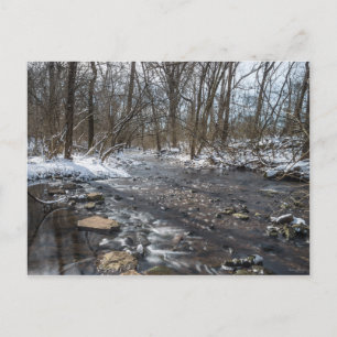 Creek At Sequiota Postcard