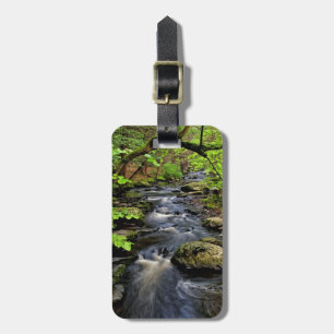 Creek flows through forest luggage tag
