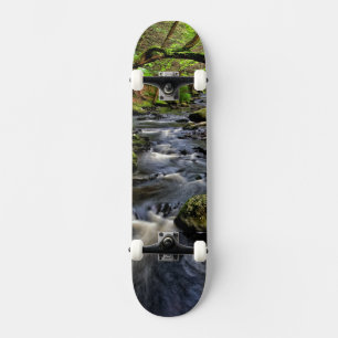 Creek flows through forest skateboard