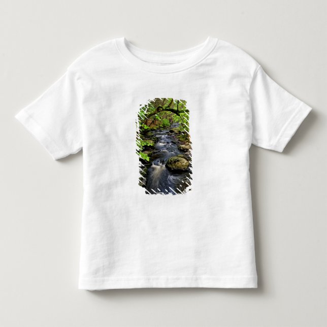 Creek flows through forest toddler T-Shirt (Front)