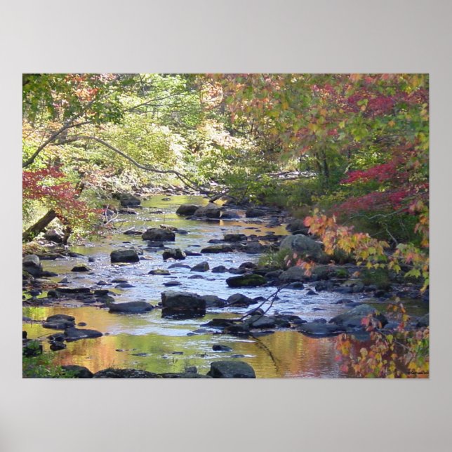Creek in Connecticut Poster (Front)