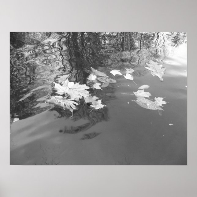 Creek Poster (Front)