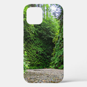 Creek Trail Winds Into Green Walls of Fern Canyon iPhone 12 Case