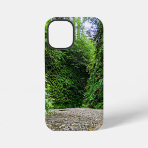 Creek Trail Winds Into Green Walls of Fern Canyon iPhone 12 Mini Case