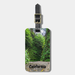 Creek Trail Winds Into Green Walls of Fern Canyon Luggage Tag