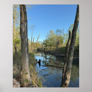 Creek Waterscape Reflections Poster