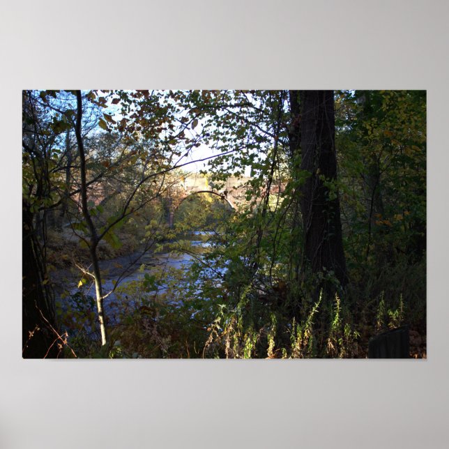 Creek with Bridge Poster (Front)