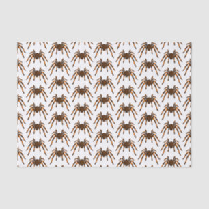 Creepy brown and orange tarantula spider cartoon tissue paper