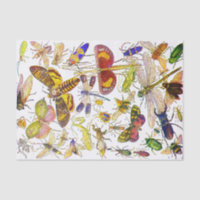 Creepy Crawlies Insect Tissue Paper | Biology