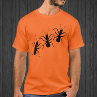Creepy Crawly Black Ants Insects