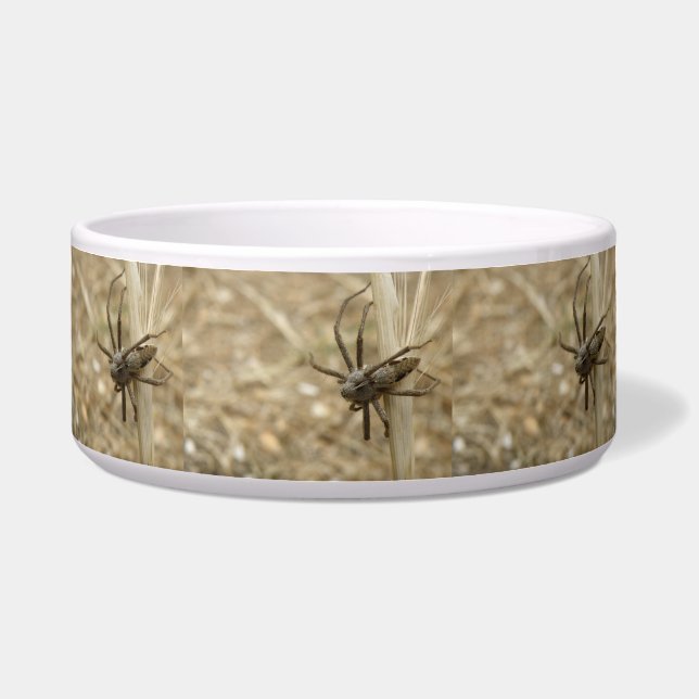 Creepy Crawly Spider Dog Bowl (Front)