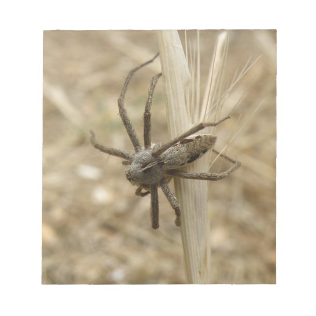 Creepy Crawly Spider Notepad (Front)