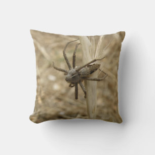 Creepy Crawly Spider Pillow