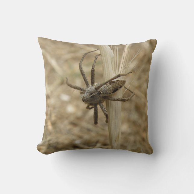 Creepy Crawly Spider Pillow (Front)