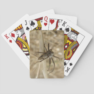 Creepy Crawly Spider Playing Cards