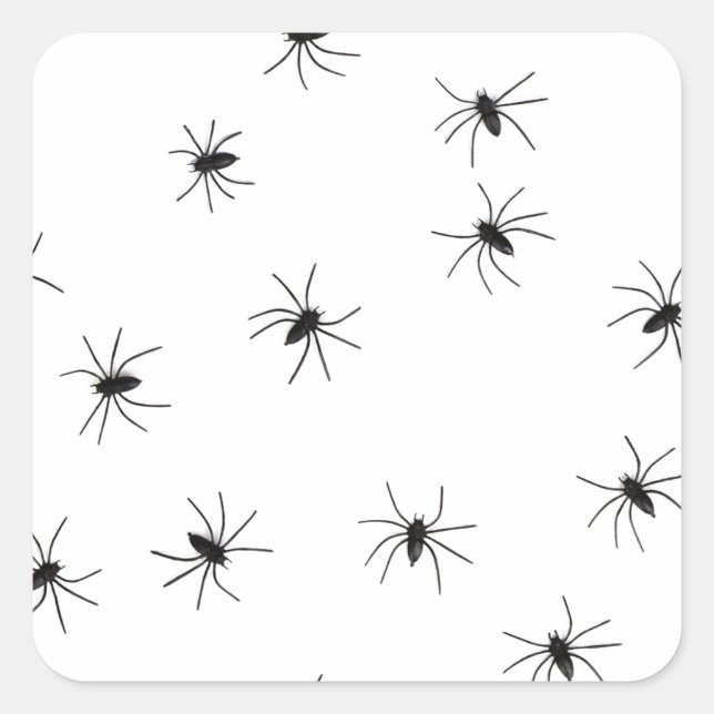 Creepy Crawly Spiders Square Sticker (Front)