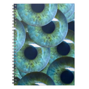 creepy eyeballs notebook