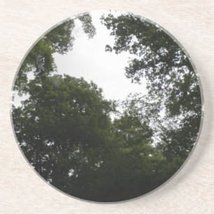 Creepy Forest Coasters