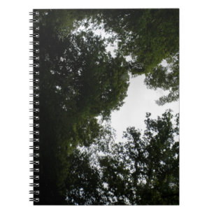 Creepy Forest Notebook