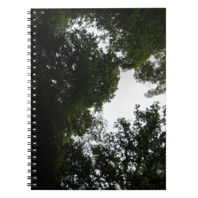 Creepy Forest Notebook (Front)