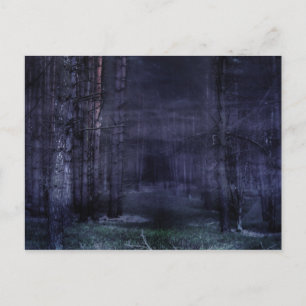 Creepy Forest Postcard