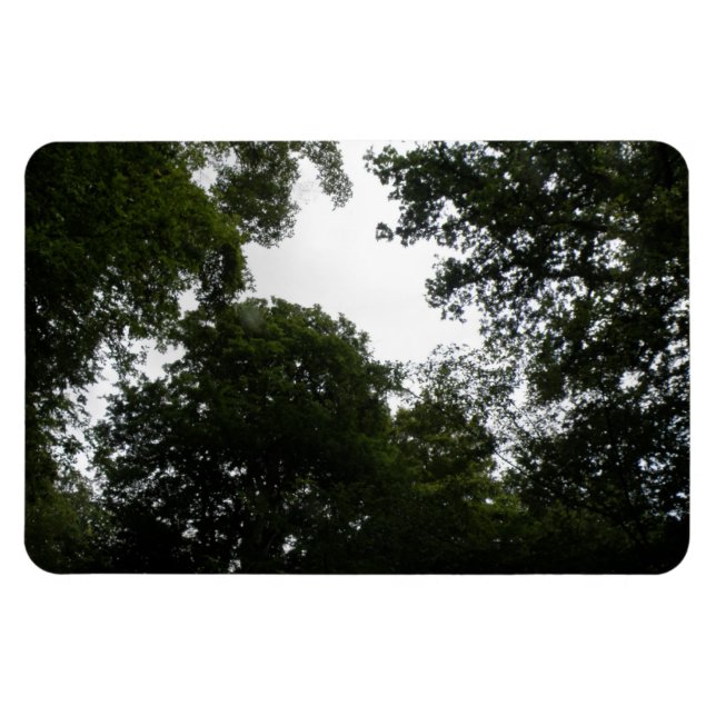 Creepy Forest Premium Magnet (Horizontal)