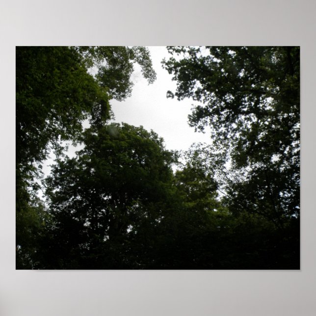 Creepy Forest Print (Front)