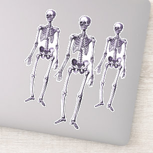 Creepy Purple Skeletons Halloween Party Decor