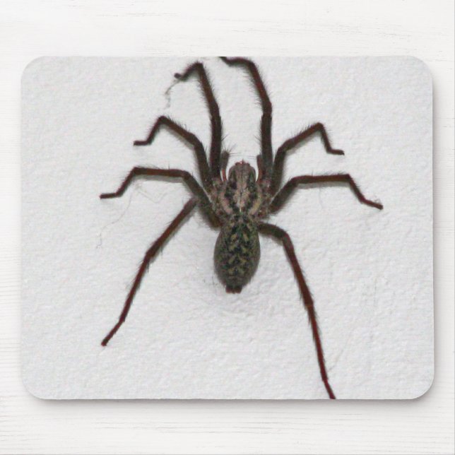 Creepy Spider Mouse Mat (Front)