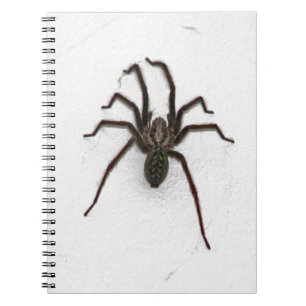 Creepy Spider Notebook