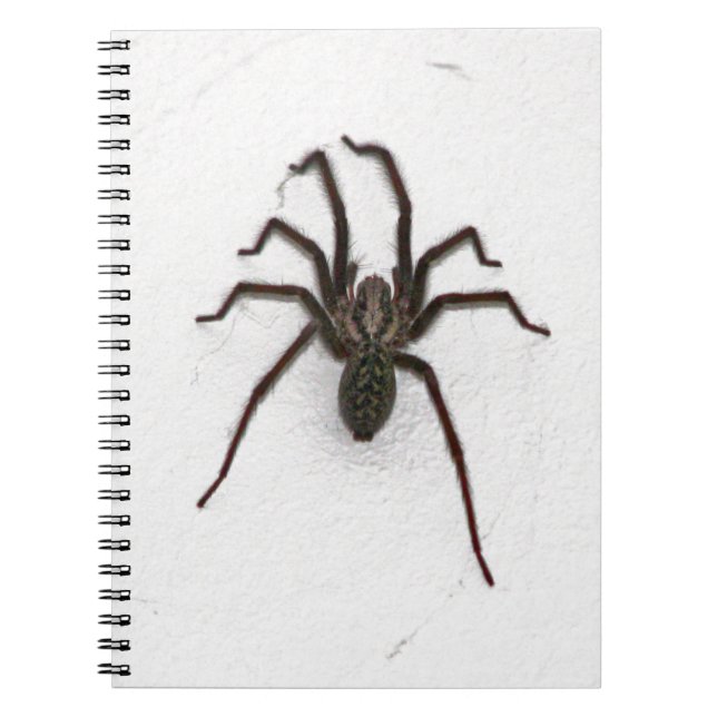 Creepy Spider Notebook (Front)