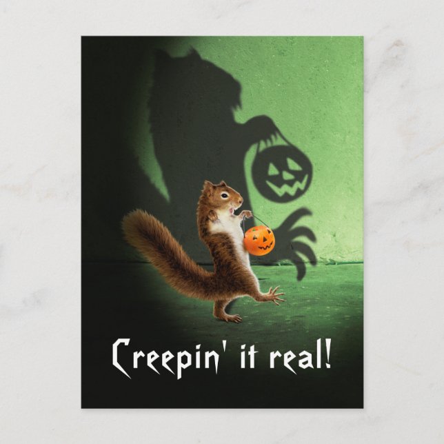 Creepy Squirrel Shadow Invitation Postcard (Front)