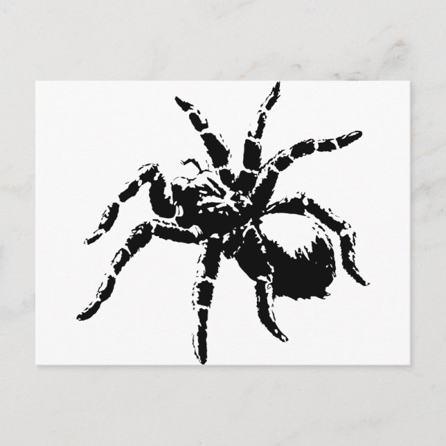 Creepy Tarantula Design Postcard (Front)