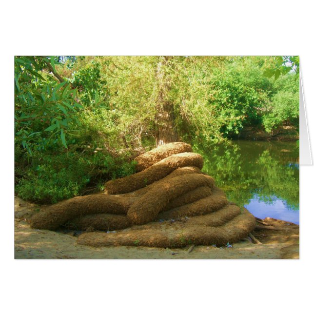 Creepy Tree Trunk (Front Horizontal)