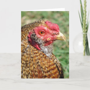 Creole Rooster All Occasions Card