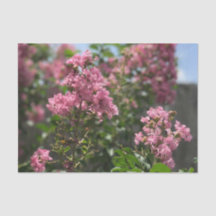 Crepe Myrtle blossom tissue paper