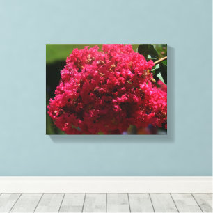 Crepe Myrtle flower Canvas Print