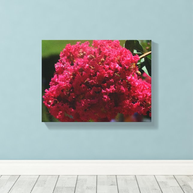 Crepe Myrtle flower Canvas Print (Insitu(Wood Floor))