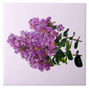 Crepe Myrtle Tile