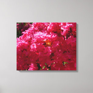 Crepe Myrtle Tree Magenta Floral Canvas Print