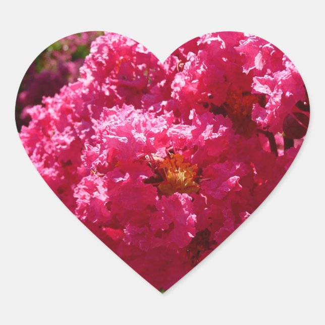 Crepe Myrtle Tree Magenta Floral Heart Sticker (Front)