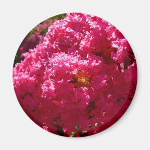 Crepe Myrtle Tree Magenta Floral Magnet