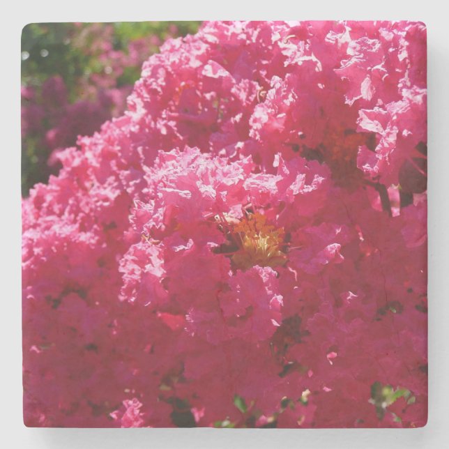 Crepe Myrtle Tree Magenta Floral Stone Coaster (Front)