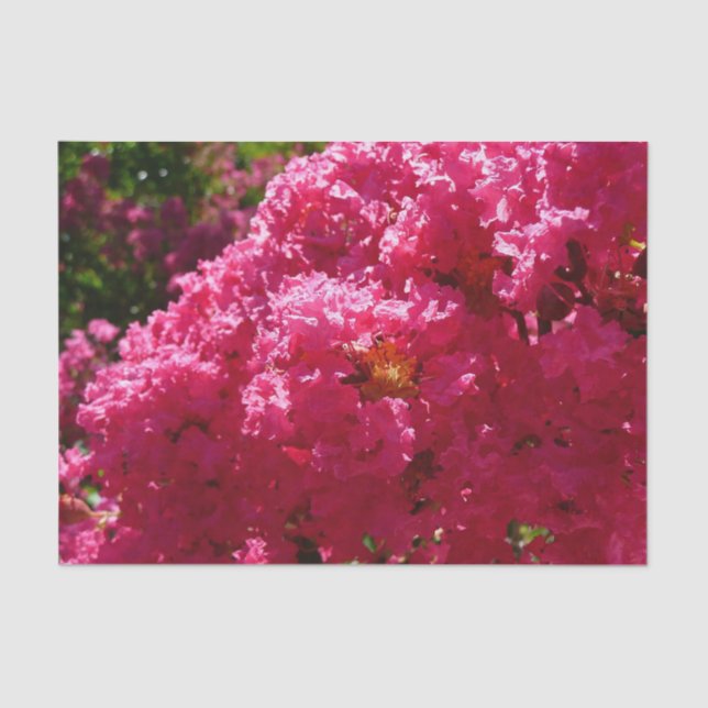 Crepe Myrtle Tree Magenta Floral Tissue Paper (Front)